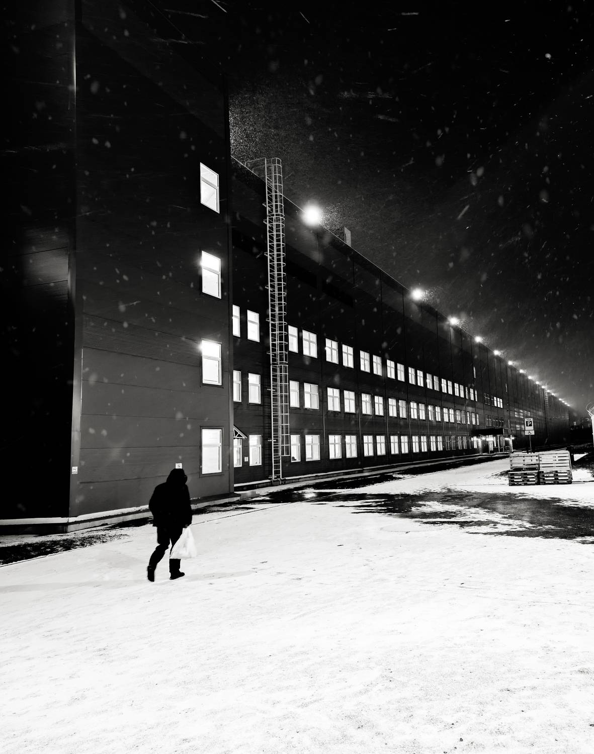 Photo #11869345