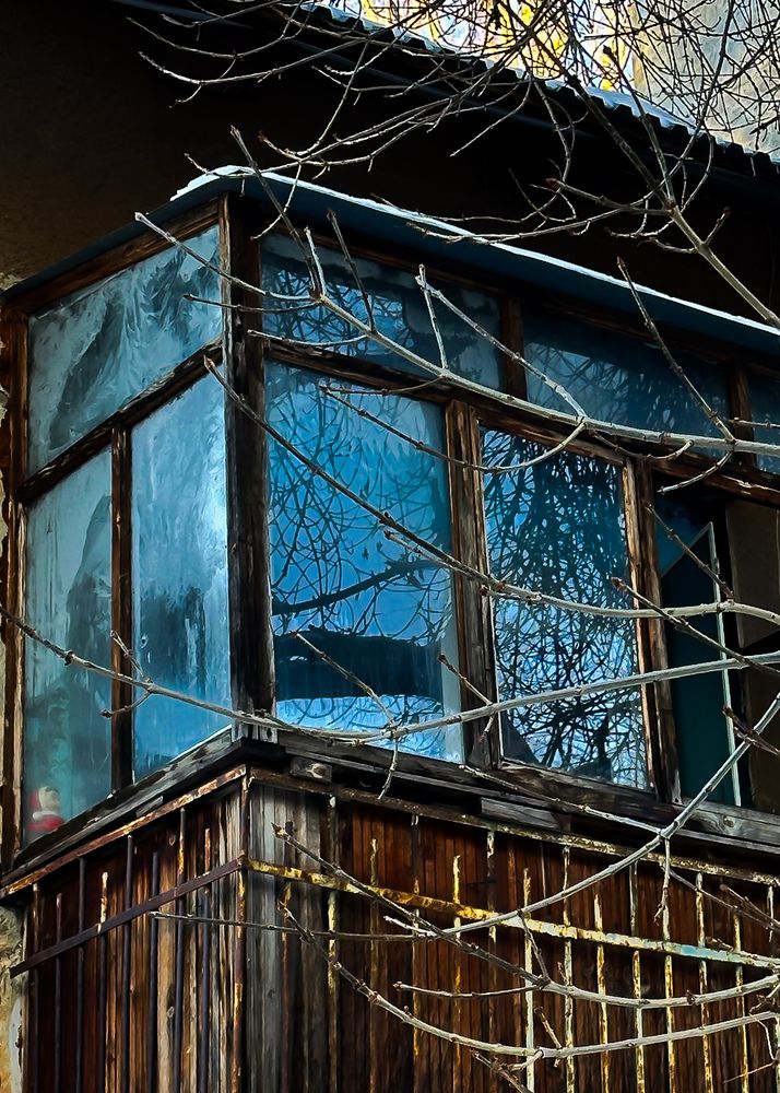 Фотография автора Юлия Белоусова