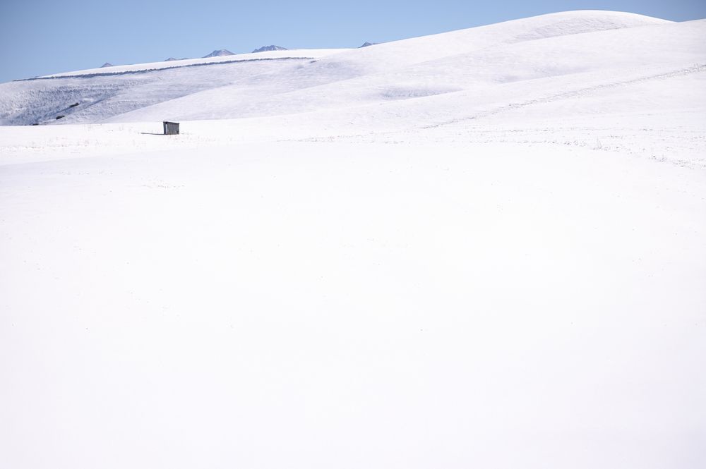 Фотография автора Kimia Shad