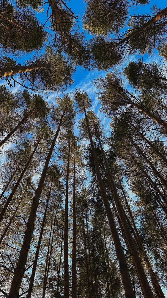 Photograph by Julia Belousova