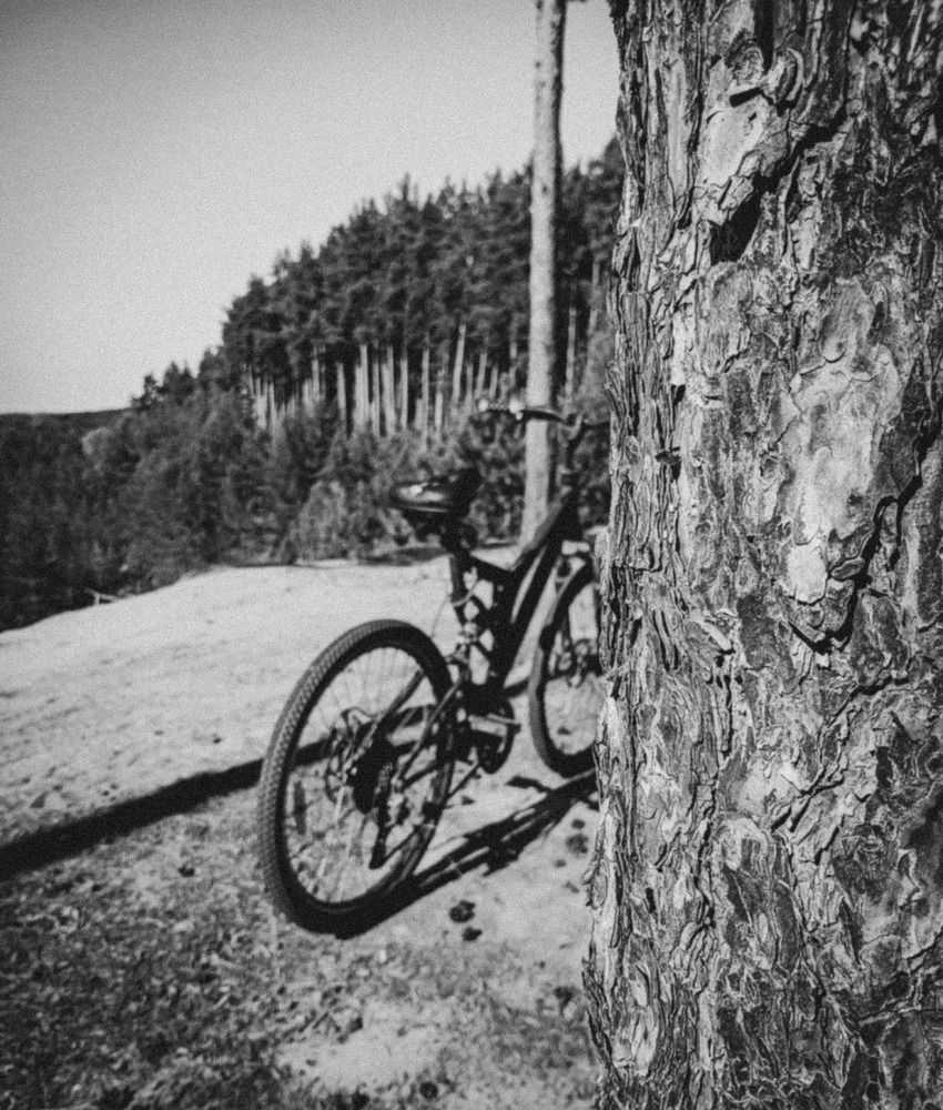 Photograph by Александр Новокрещенов