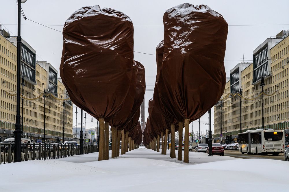 Photograph by Dimitri Bakhtadze