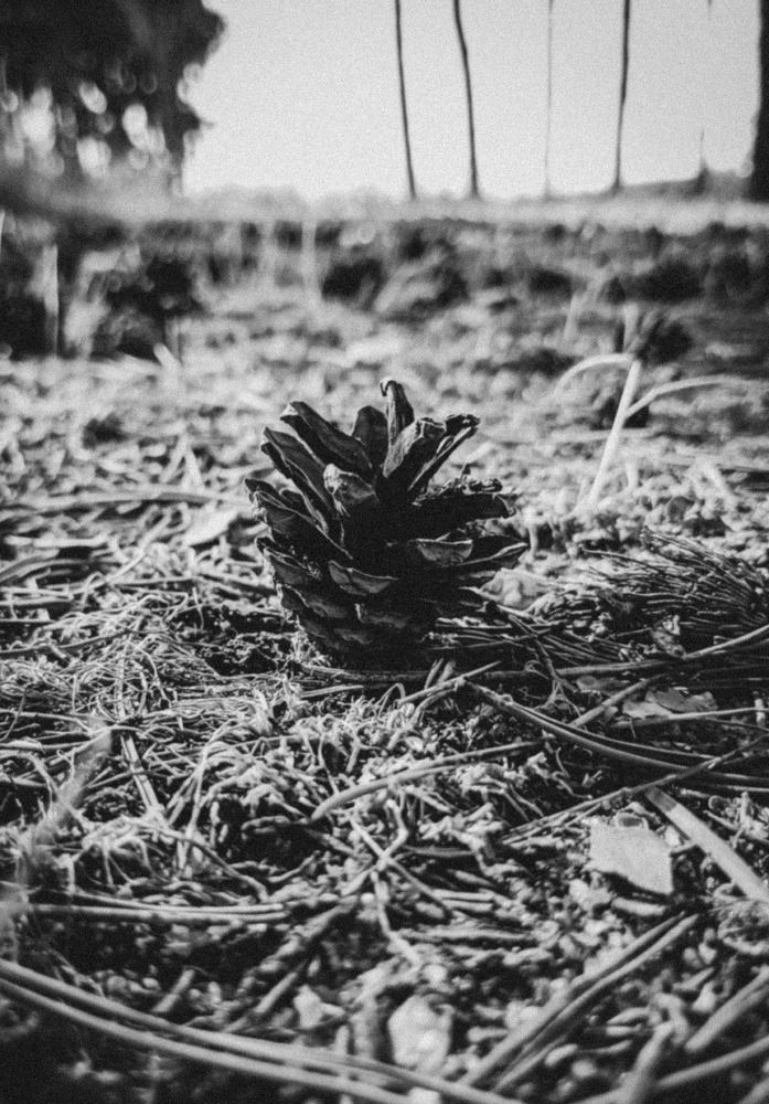 Photograph by Александр Новокрещенов