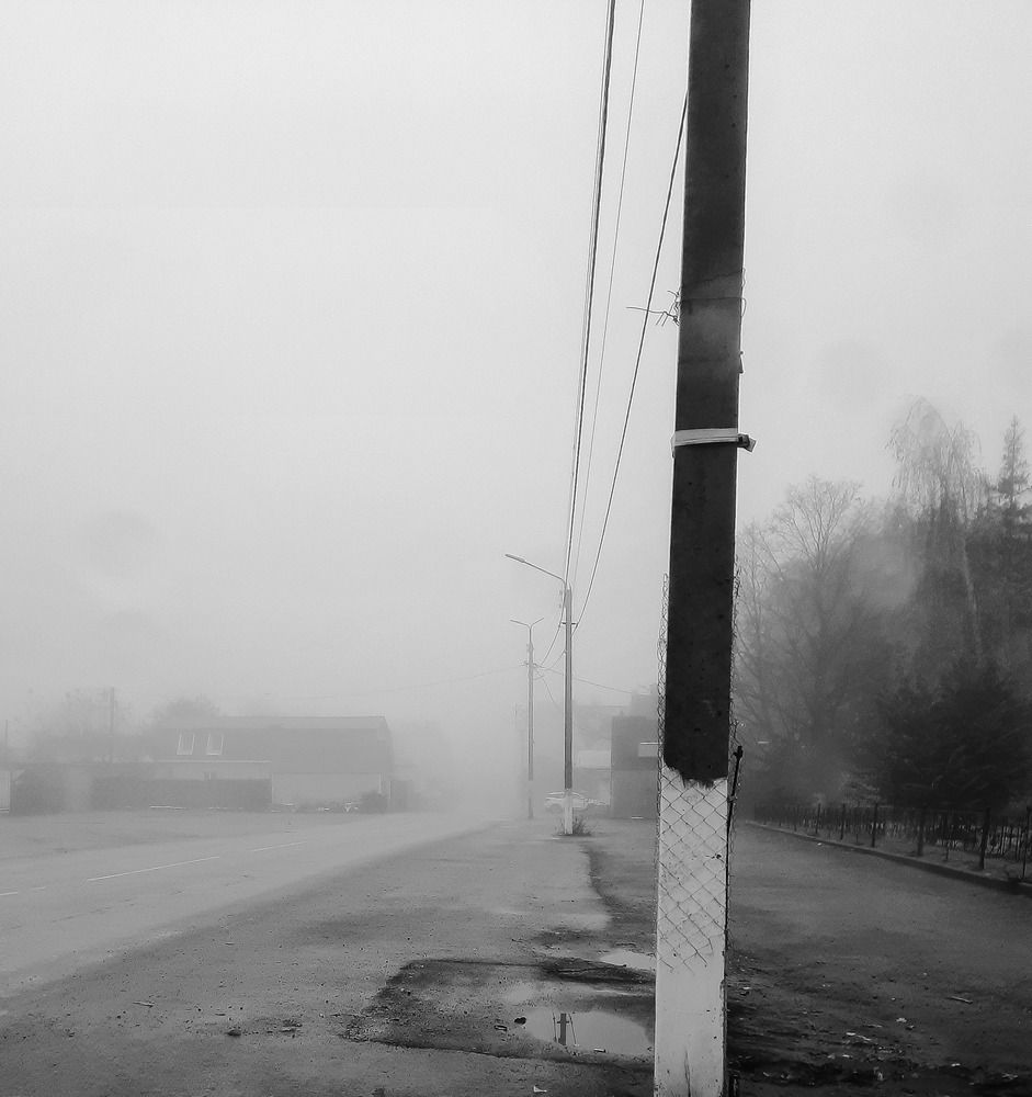 Photograph by Александр Новокрещенов