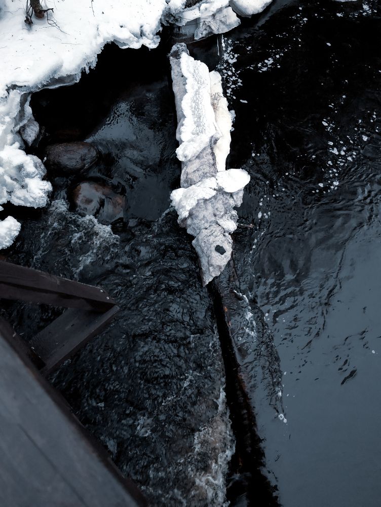 Photo #11869414