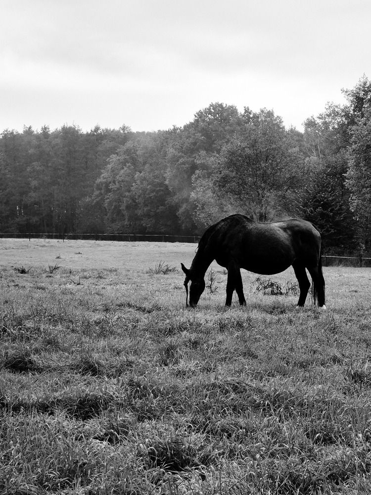 Photograph by Елена Коробейникова