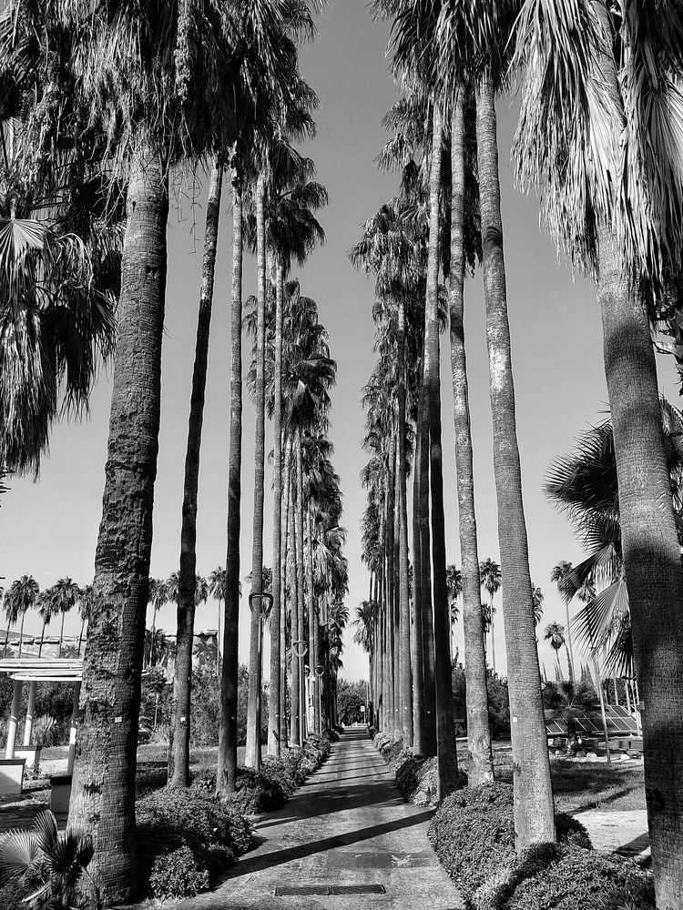 Photograph by Елена Юдина