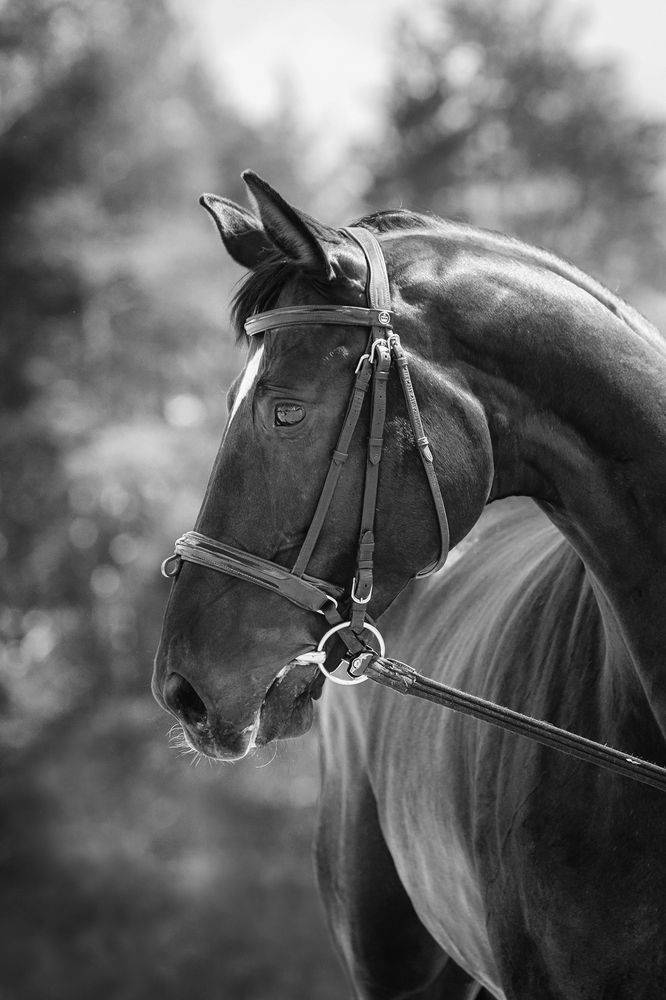 Photograph by IrenRRR