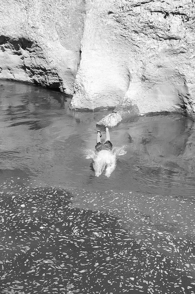 Фотография автора Виталий Дузь