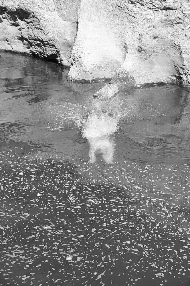 Фотография автора Виталий Дузь