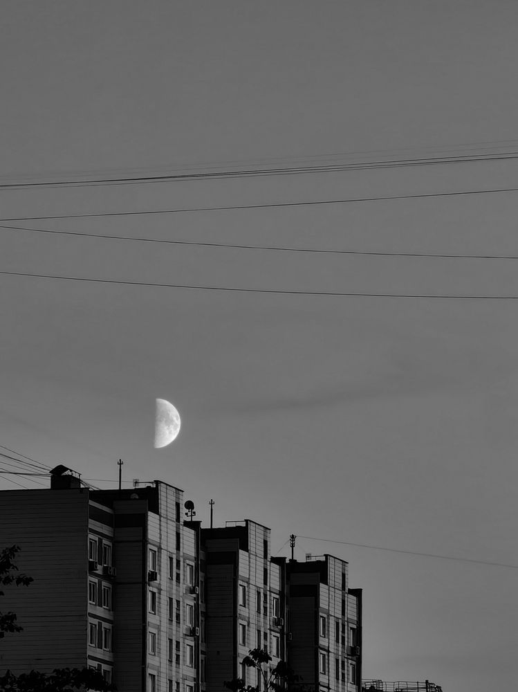 Фотография автора Ольга Панасюк