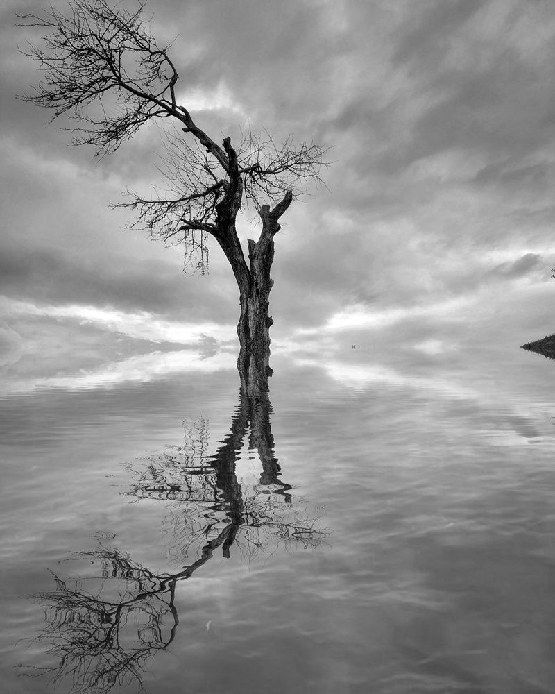 Photograph by Naser Rezeian