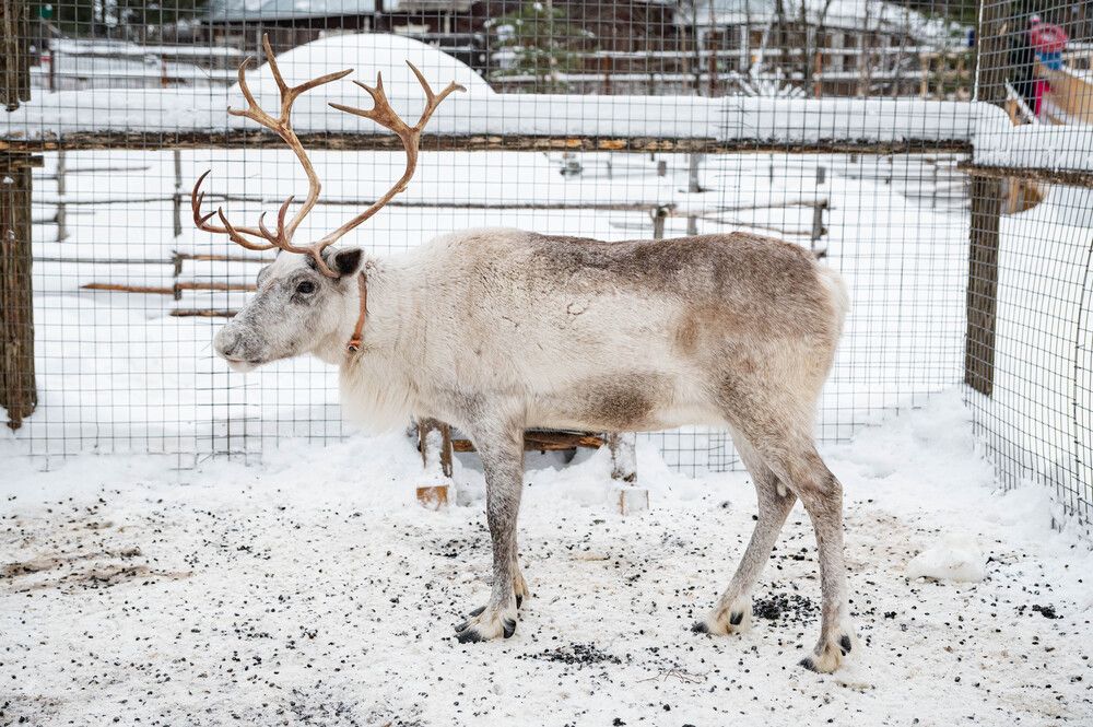 Photograph by Tanzilya Gabidullina