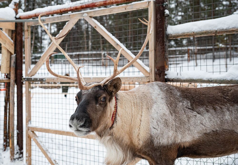 Photograph by Tanzilya Gabidullina