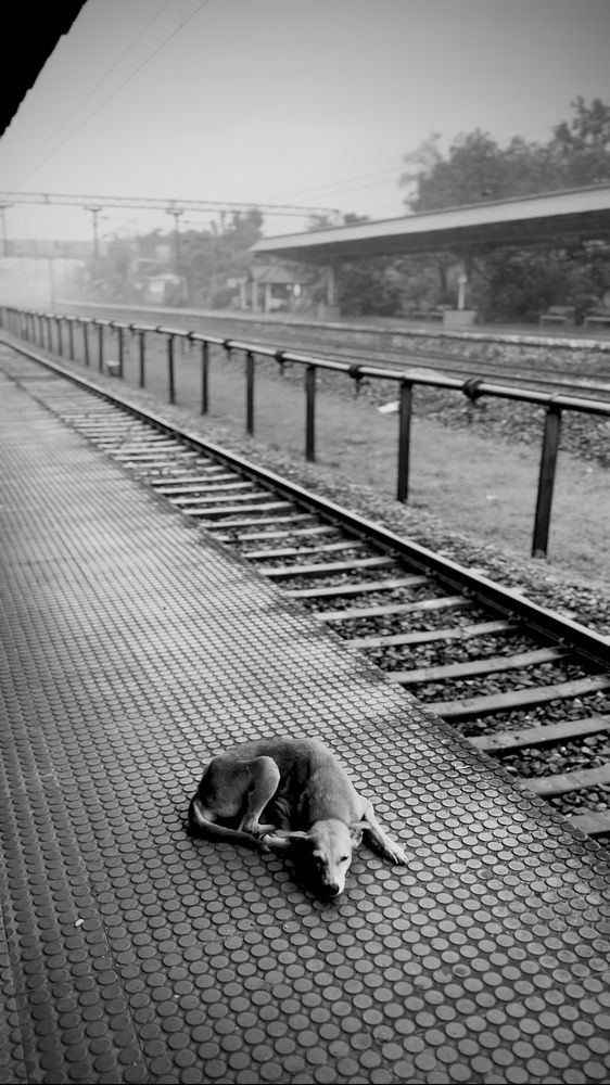 Photograph by Vedant Haldankar