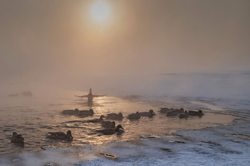 Photograph by Igor Aleksandrov