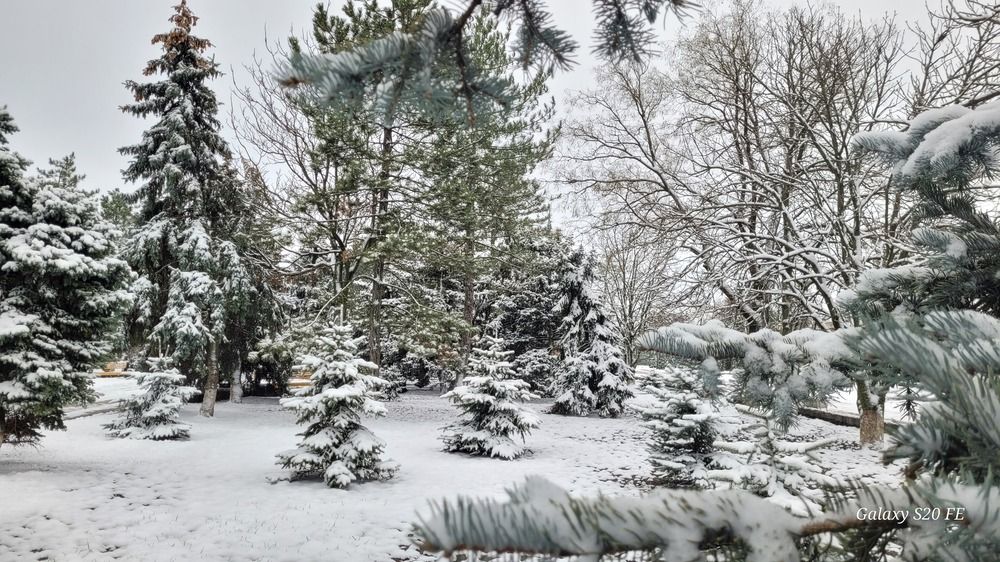 Photograph by Метушова Анна