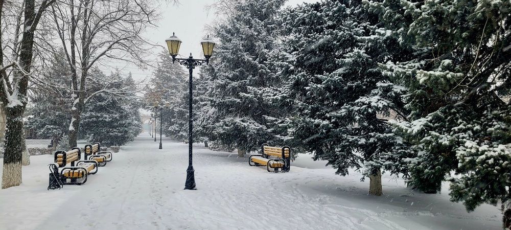 Photograph by Метушова Анна