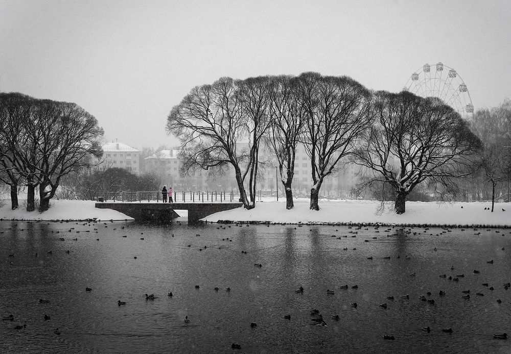 Встреча у пруда