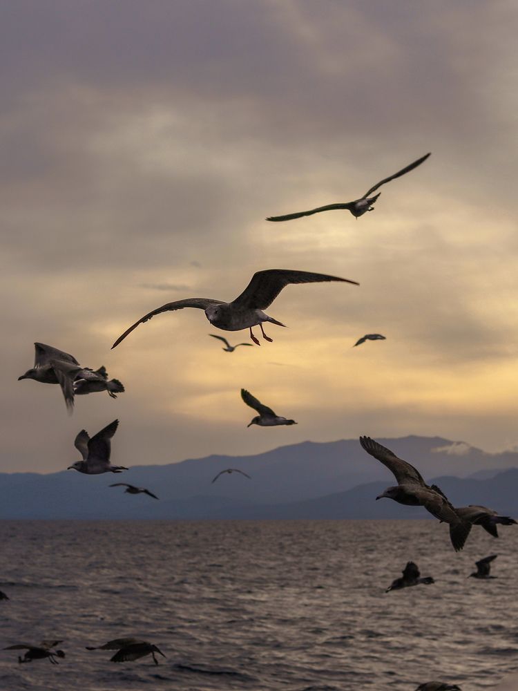 Photograph by Дмитрий Бучнев