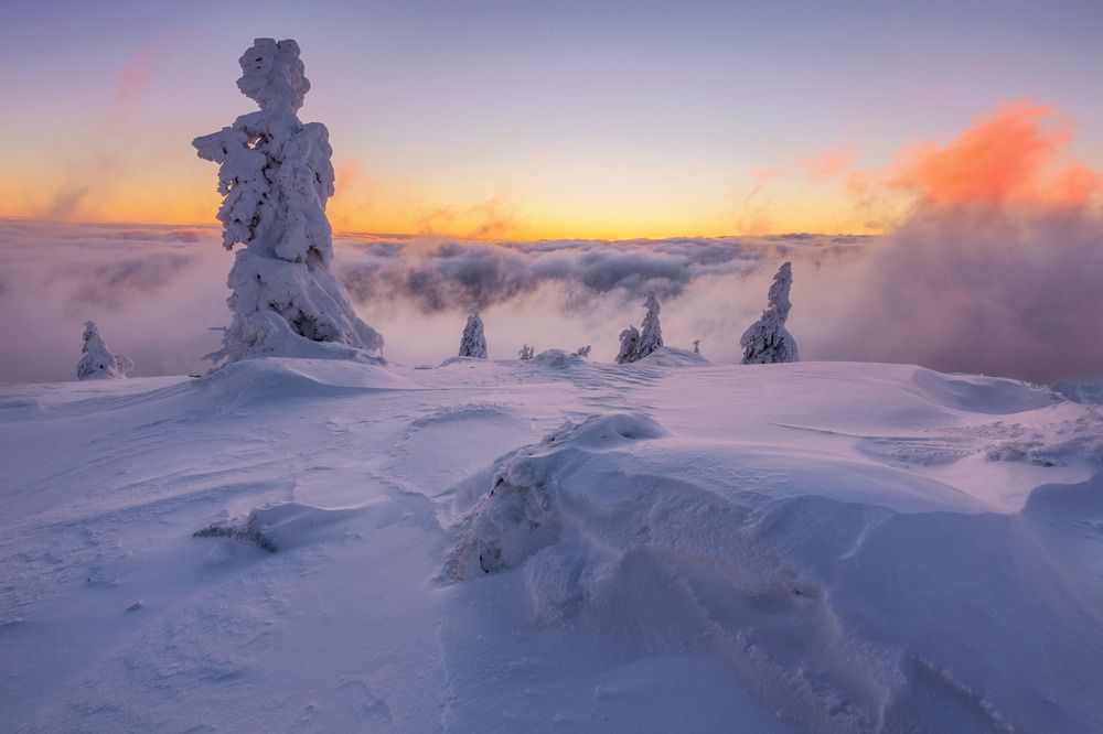 Photograph by Petr Fiala