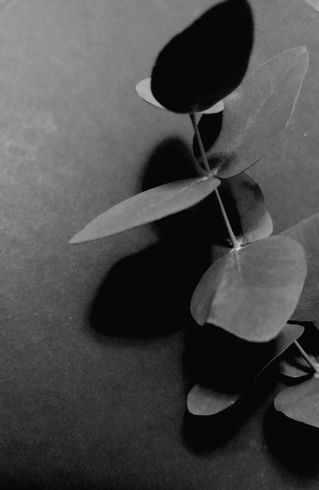 Photograph by Ольга Дегтярёва