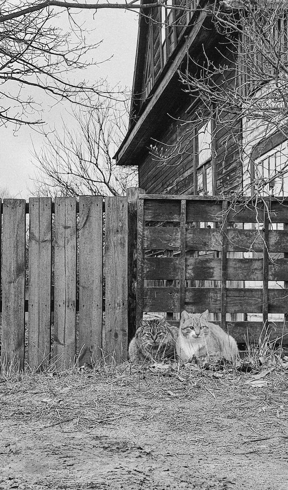 Photograph by Ольга Дегтярёва