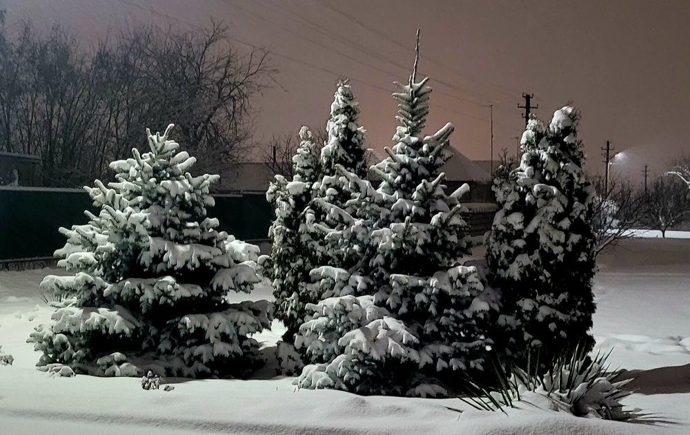 Photograph by Метушова Анна