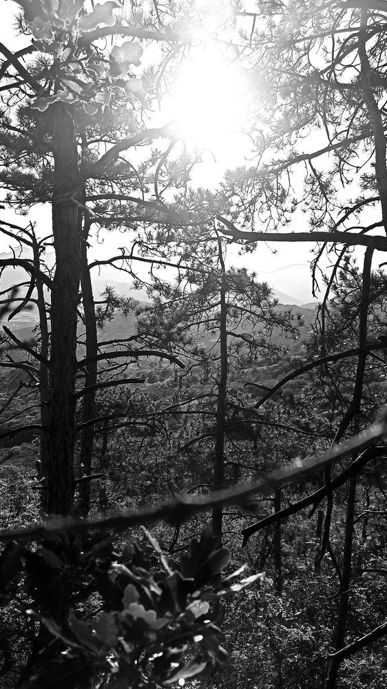 Photograph by Антон Тимошевский