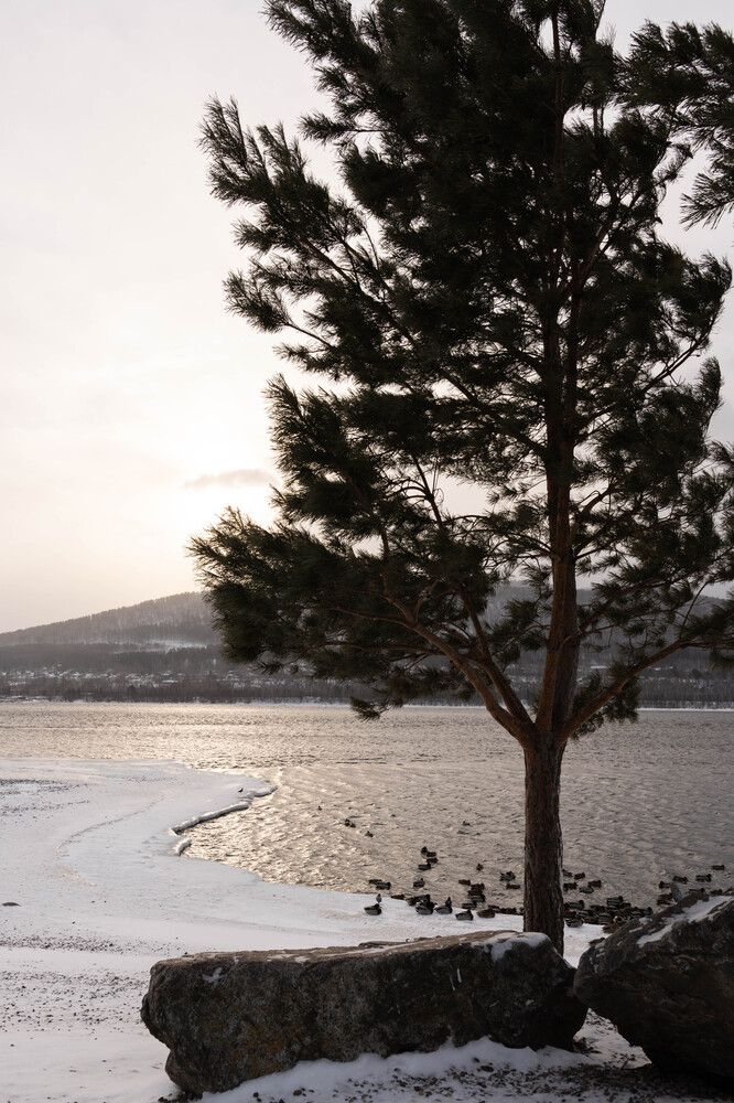 Photograph by Елена Николайчук