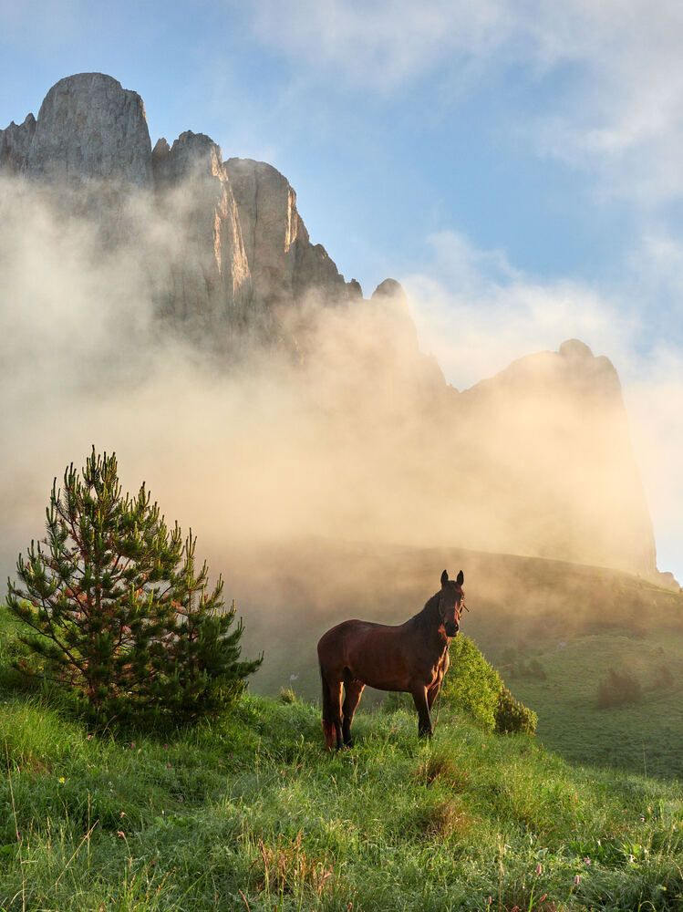 Photograph by Александр Авдушев