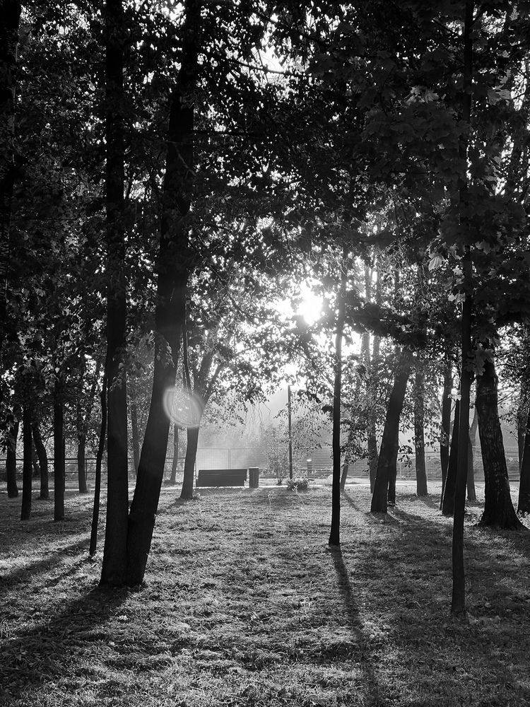 Photograph by Дмитрий Костяков