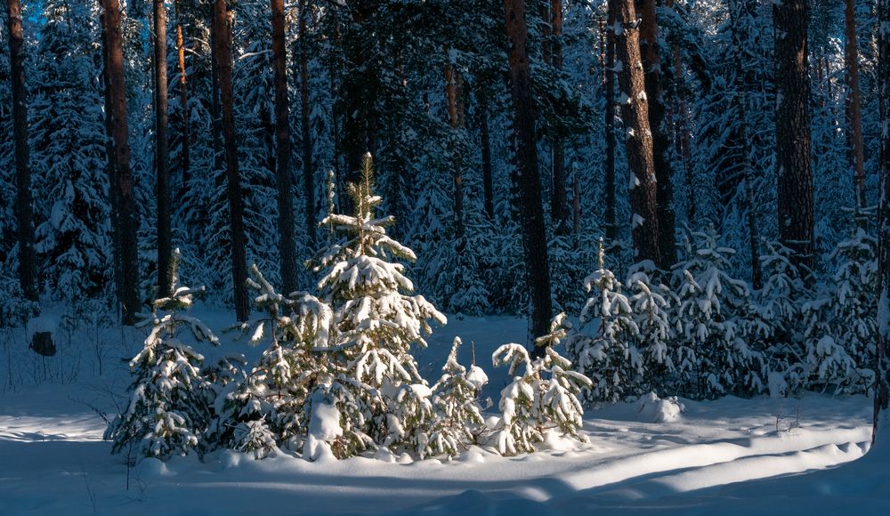 Photograph by Андрей Кузнецов