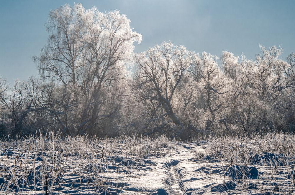 Photograph by Андрей Кузнецов