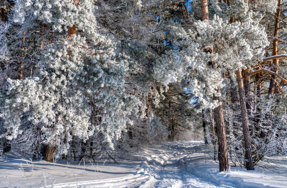 Photograph by Андрей Кузнецов