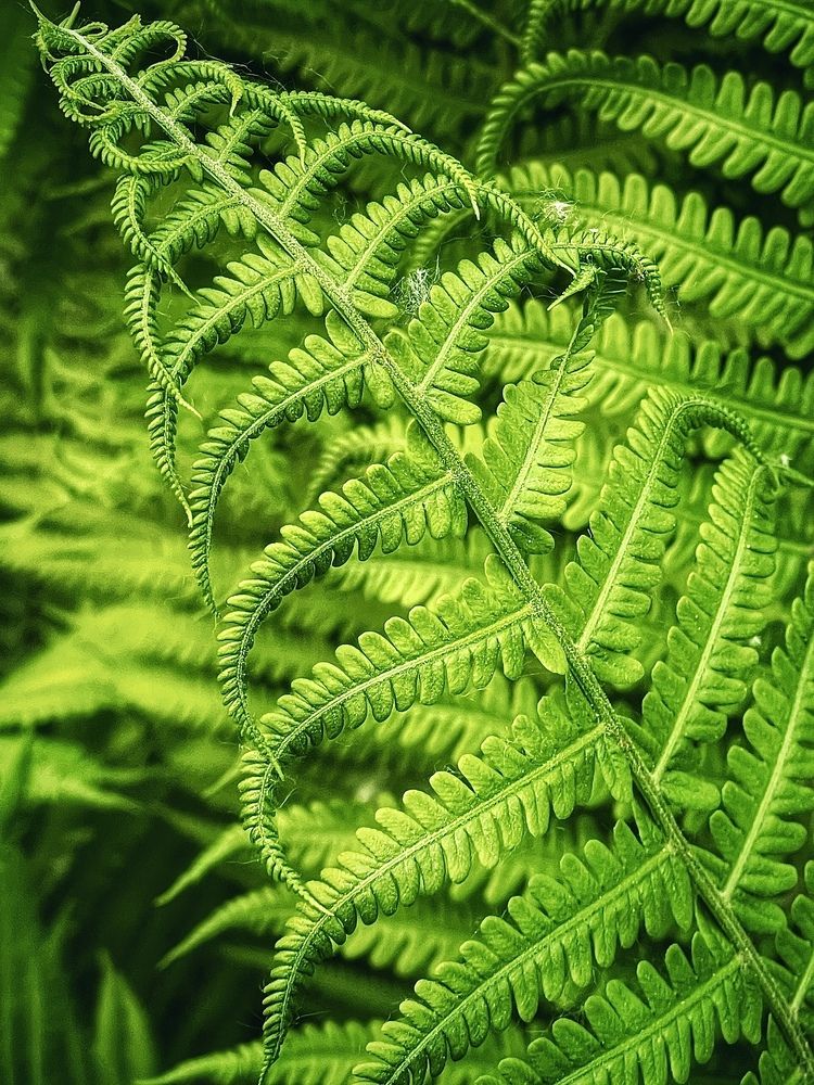 Фотография автора Nadezhda