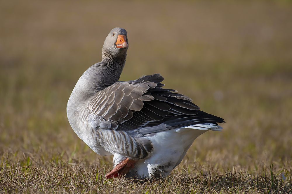 Photograph by Вадим Брыль