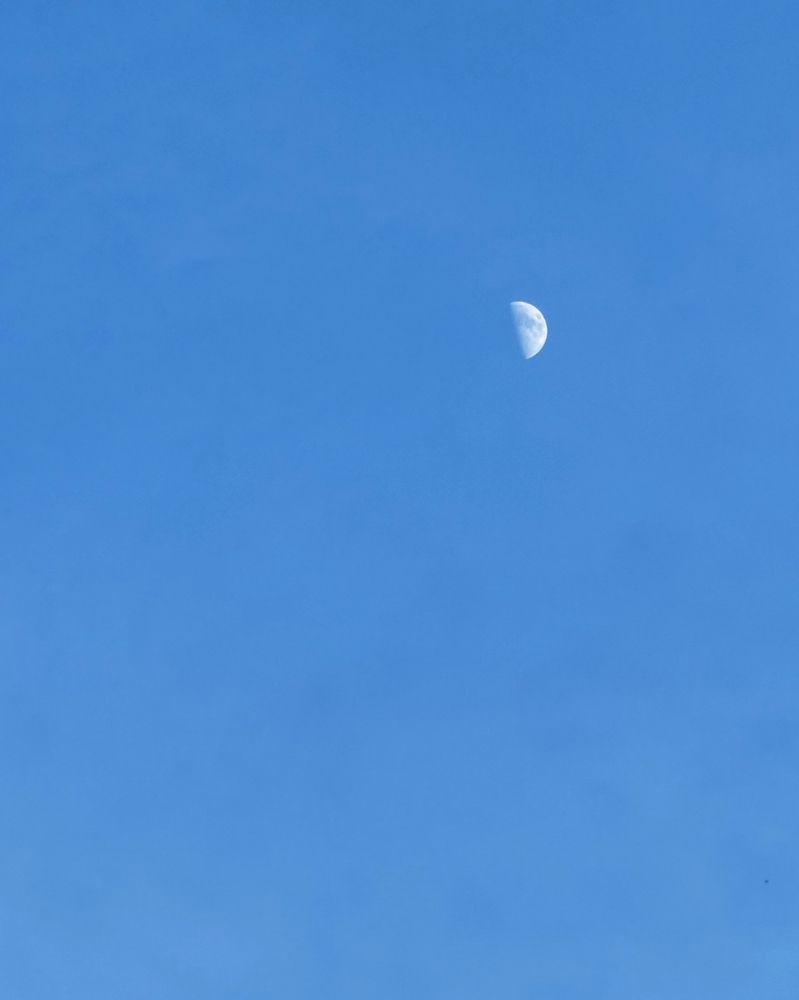 Фотография автора Кирилл Литовский