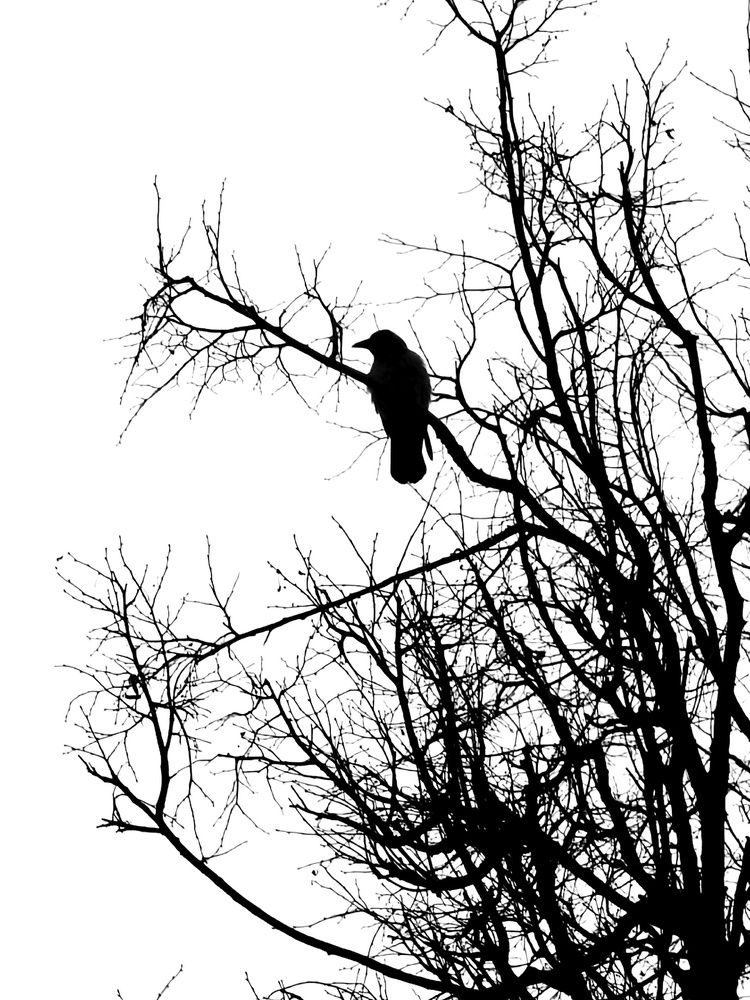 Photograph by Натали Захарова (Тай)