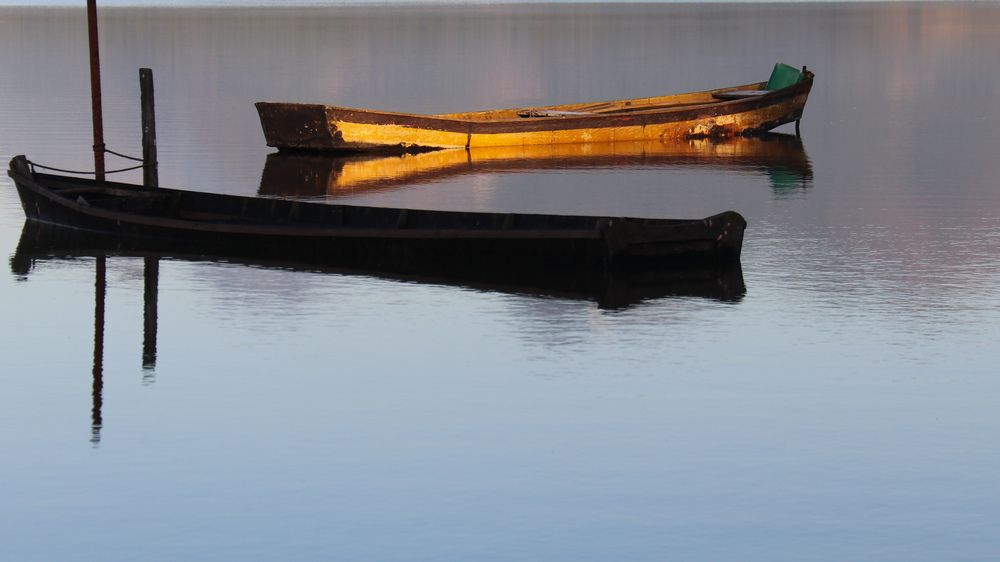 Photograph by FABIANO Manhães