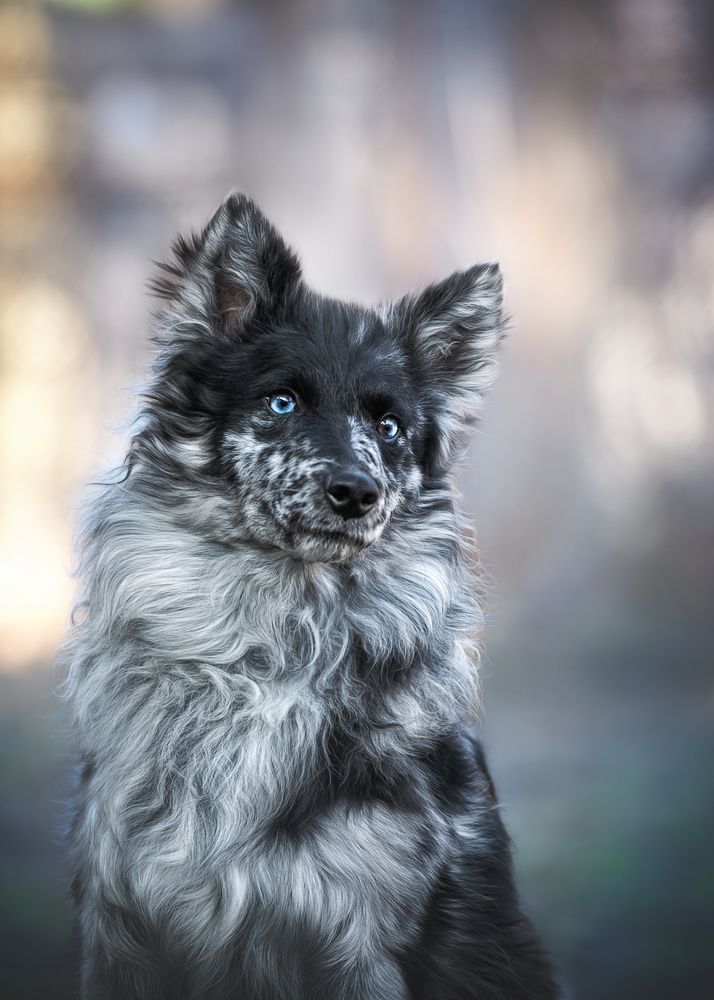 Photograph by Наталья Орел