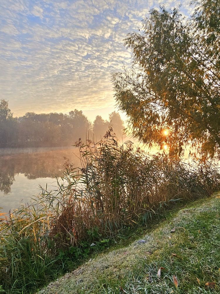 Фотография автора Elena Polonetskaya