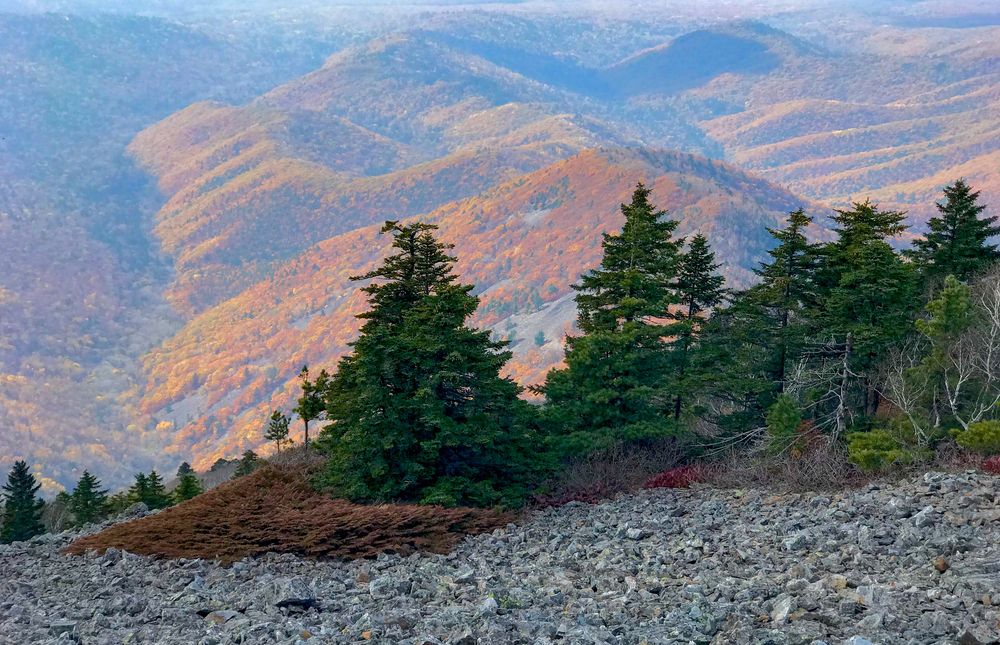 На сопках Приморья