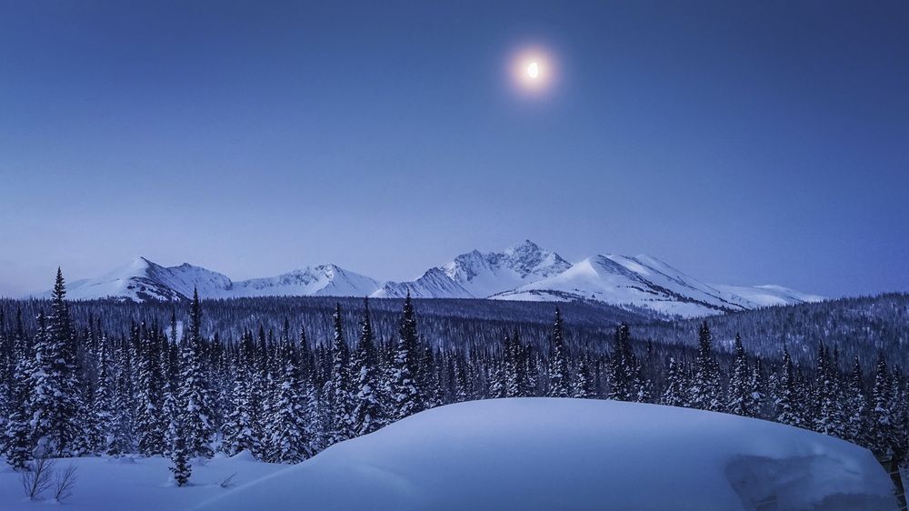 Фотография автора Татьяна Добровольская