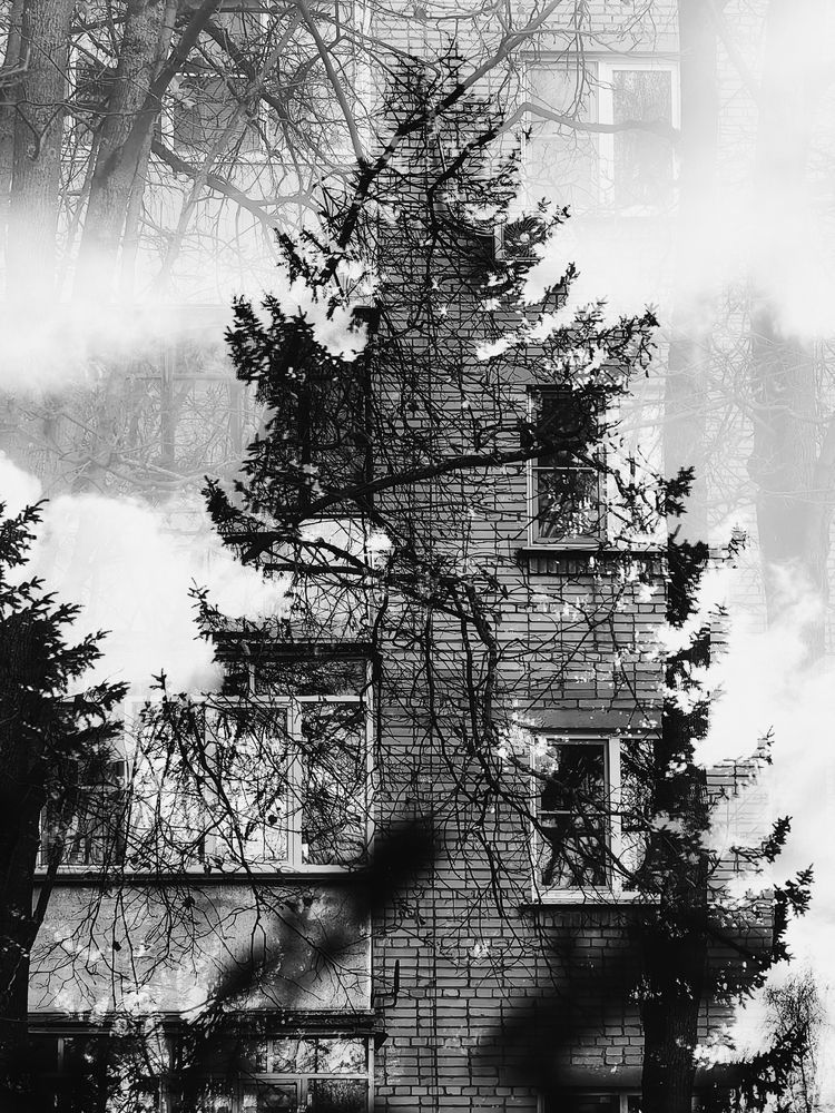 Photograph by Натали Захарова (Тай)