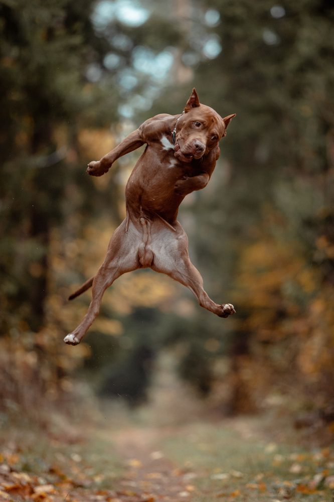 Photograph by Алексей Ефанов