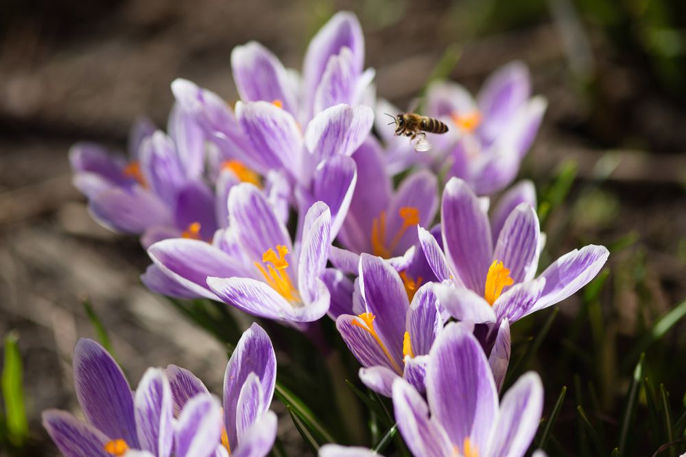 Photograph by Владимир