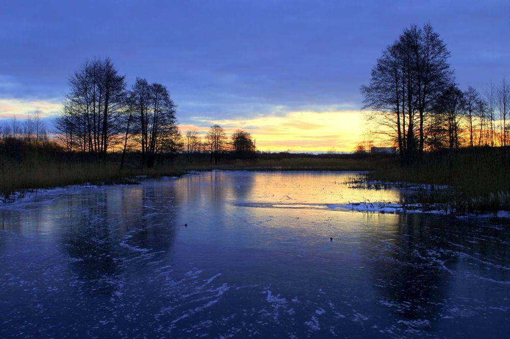 Photograph by 