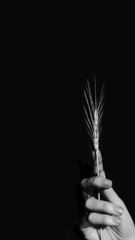 Photograph by Julia Belousova