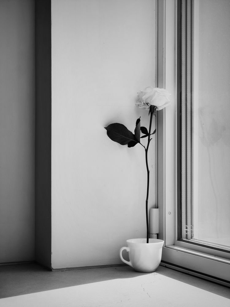 Photograph by Тимофей Смирнов